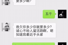 枣强专业讨债公司有哪些核心服务？